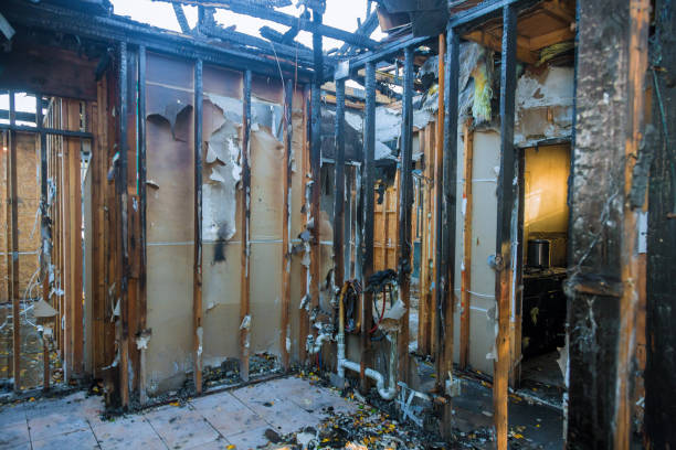 Professional Fire Damage Assessment technician working in Arlington, TN